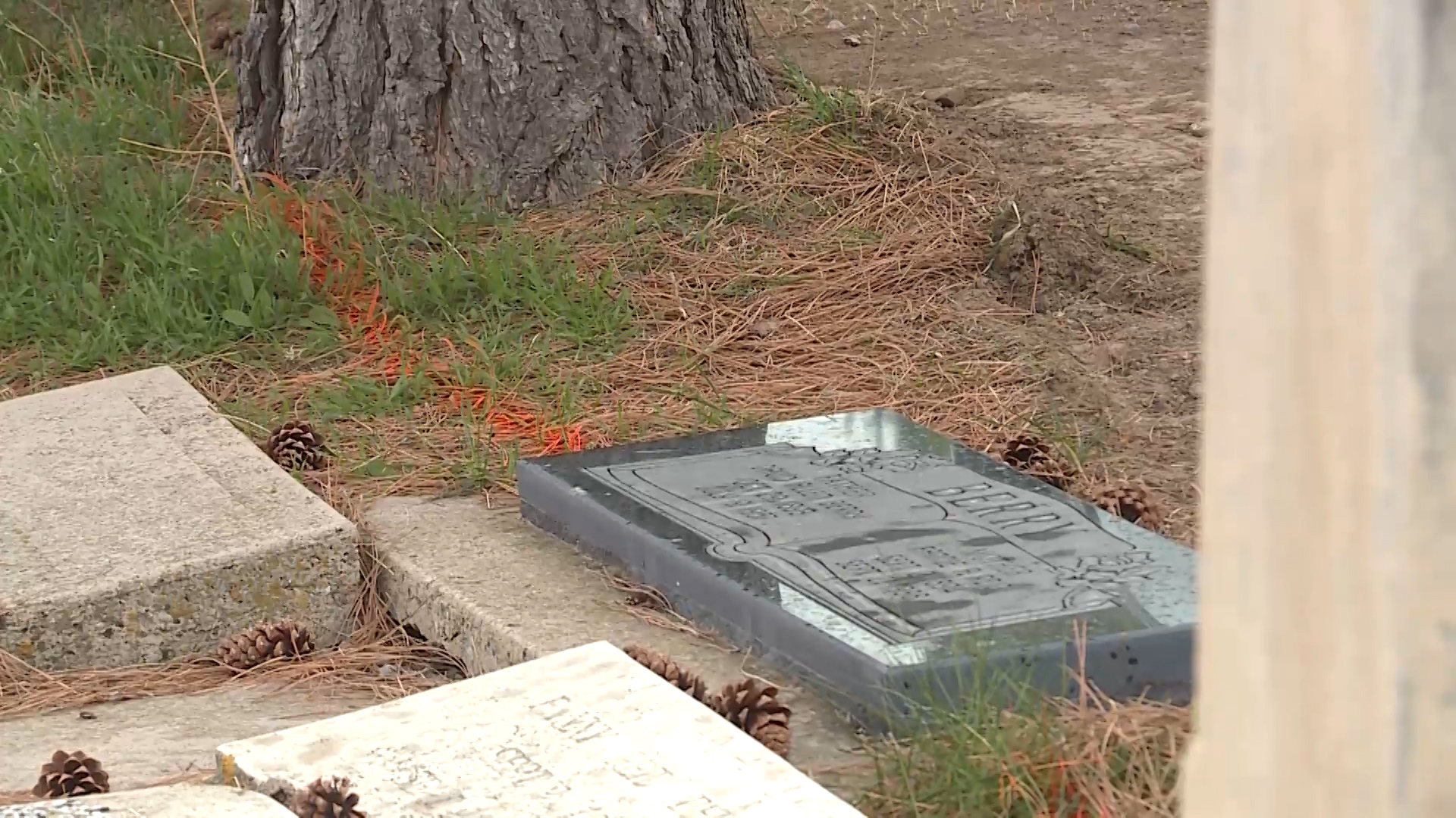 Photo: Mike DeBernardo, KSL TV