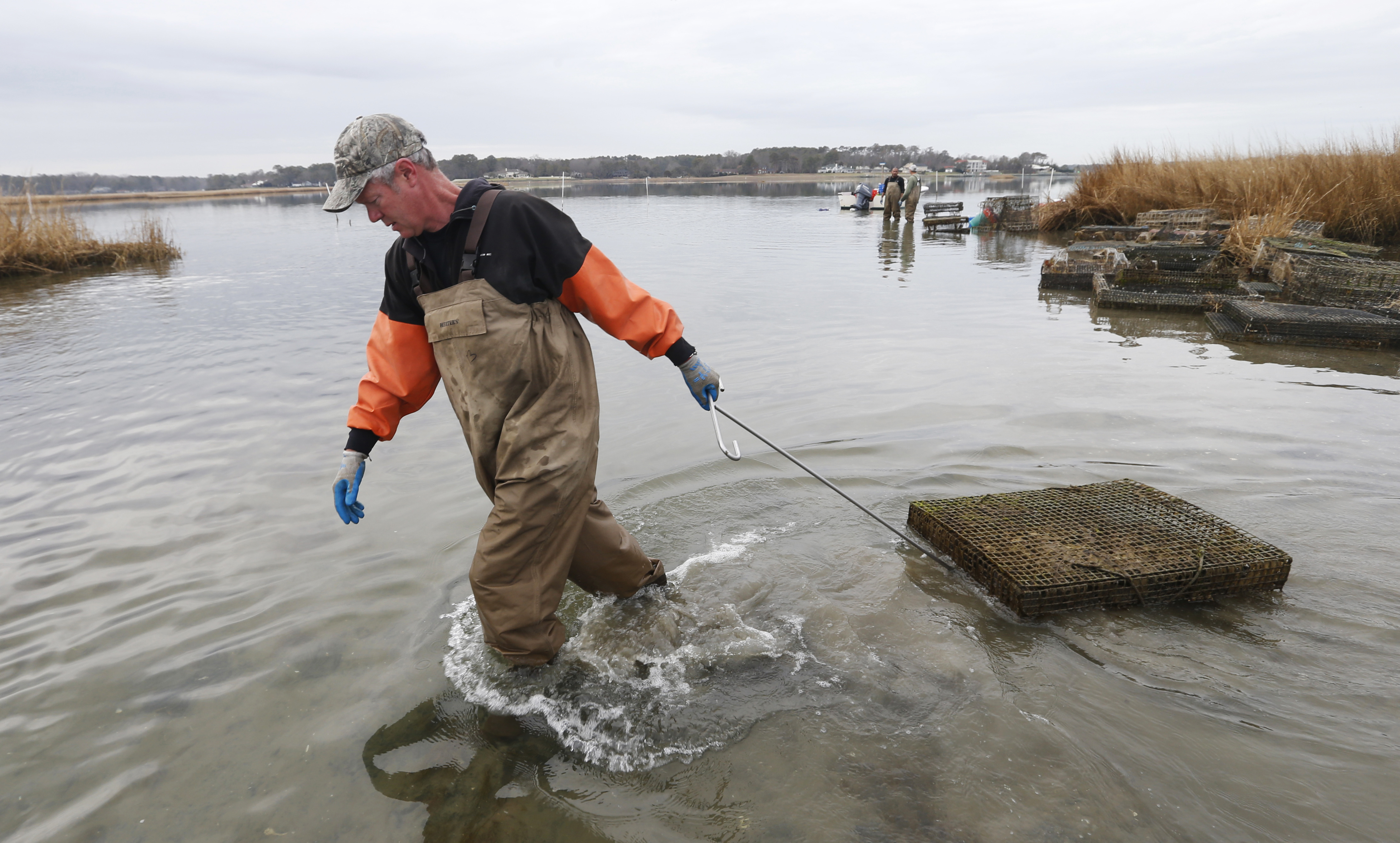 Wealthy homeowners take on oystermen in war for the coast