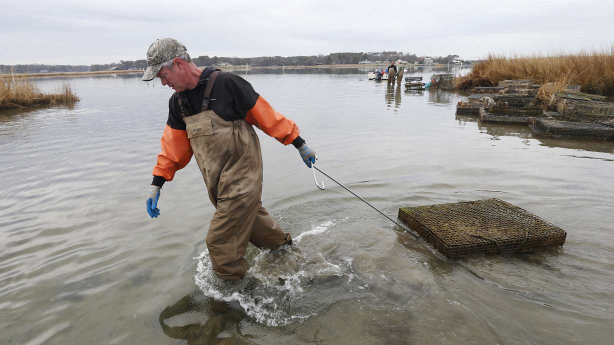 Wealthy homeowners take on oystermen in war for the coast