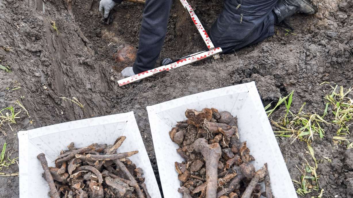 Remains of 21 Soviet Red Army soldiers found in Germany