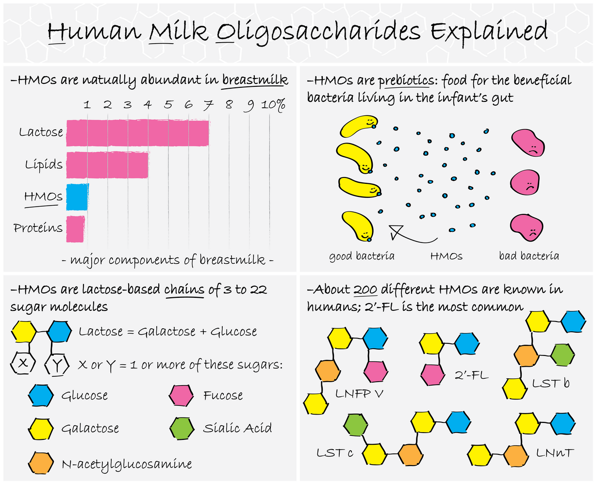 Graphic: Robert Lawrence