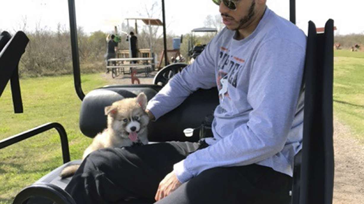 Astros star Carlos Correa adds a pup to the family