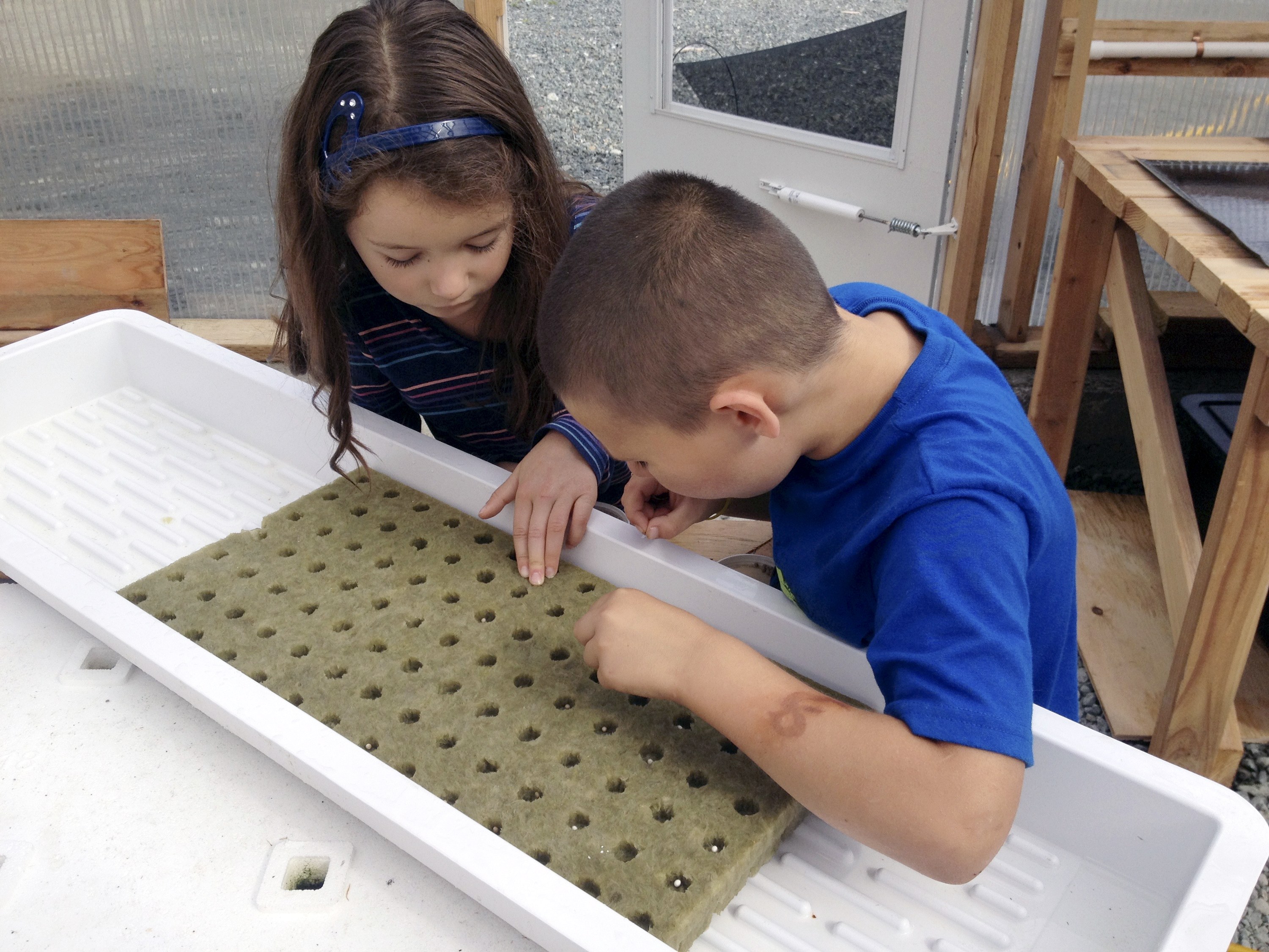 New Alaska handbook provides how-to on heated greenhouses