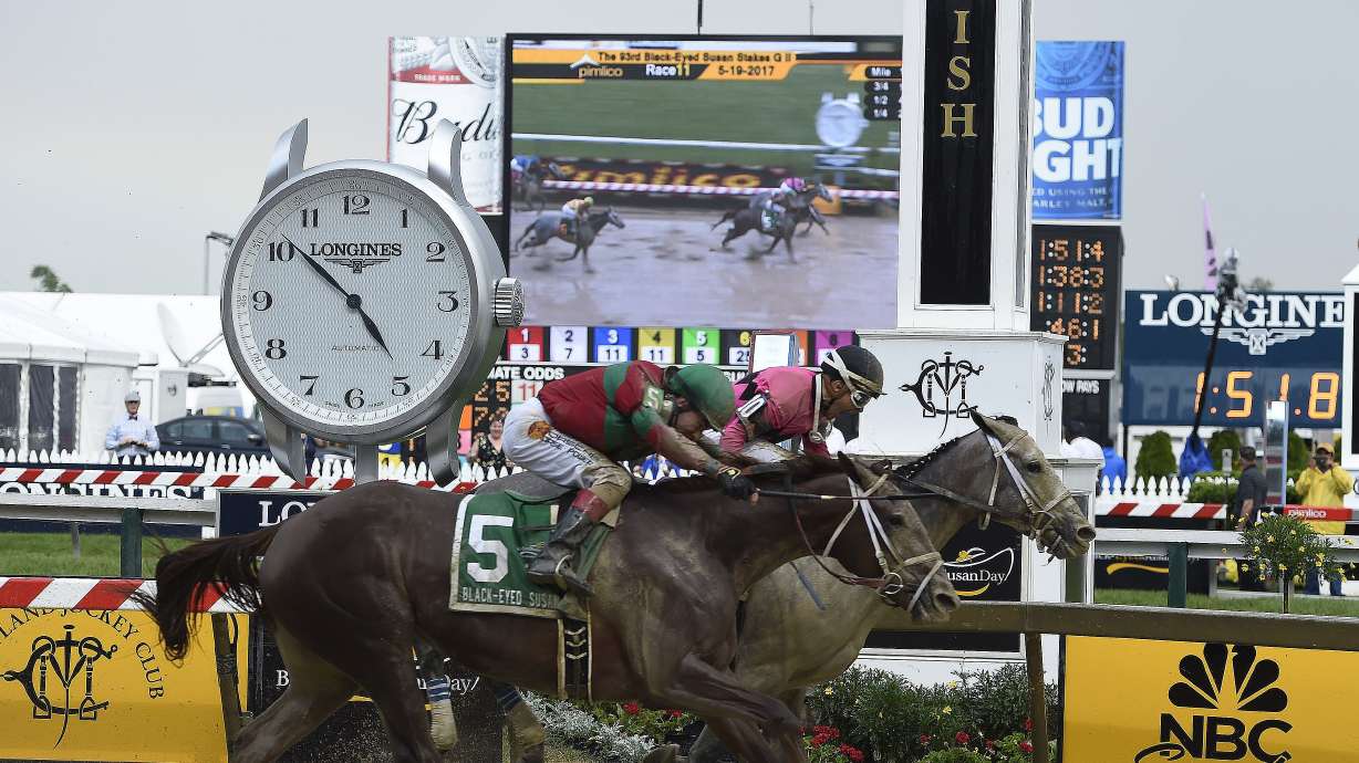 Understudy Actress grabs spotlight with Black-Eyed Susan win