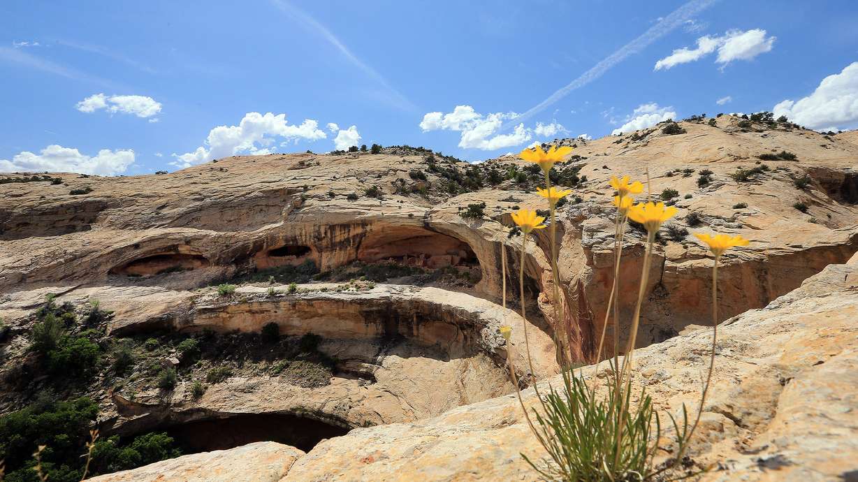 Bears Ears Monument designation draws thousands of comments
