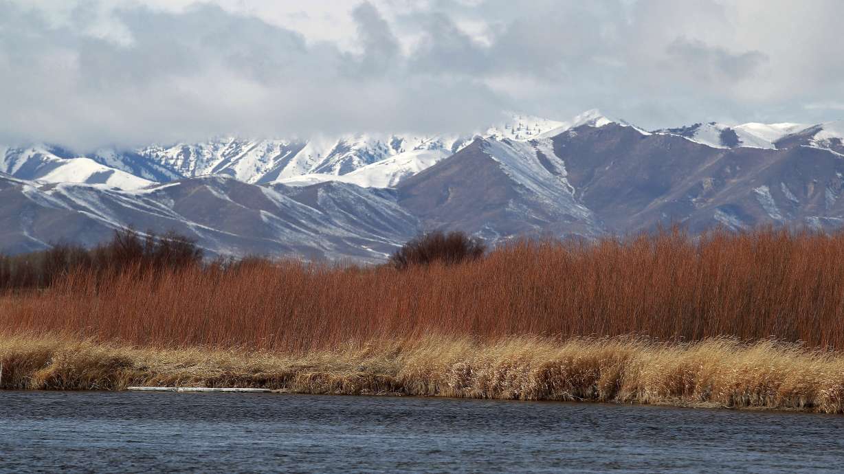 Water level, and optimism, rise at famed Idaho fishing creek