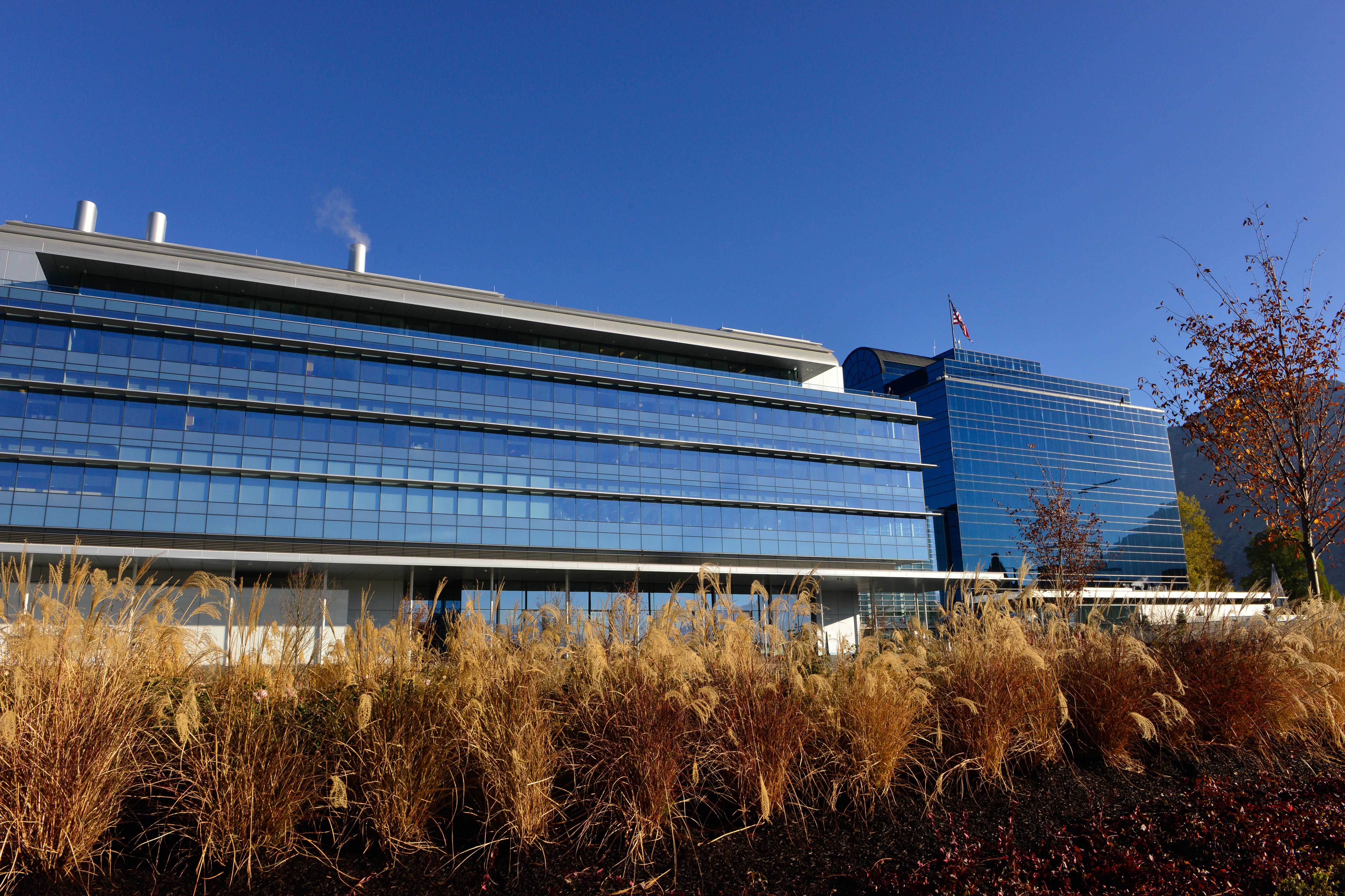 Nu Skin had Utah's top-paid CEO with $10.3M paycheck