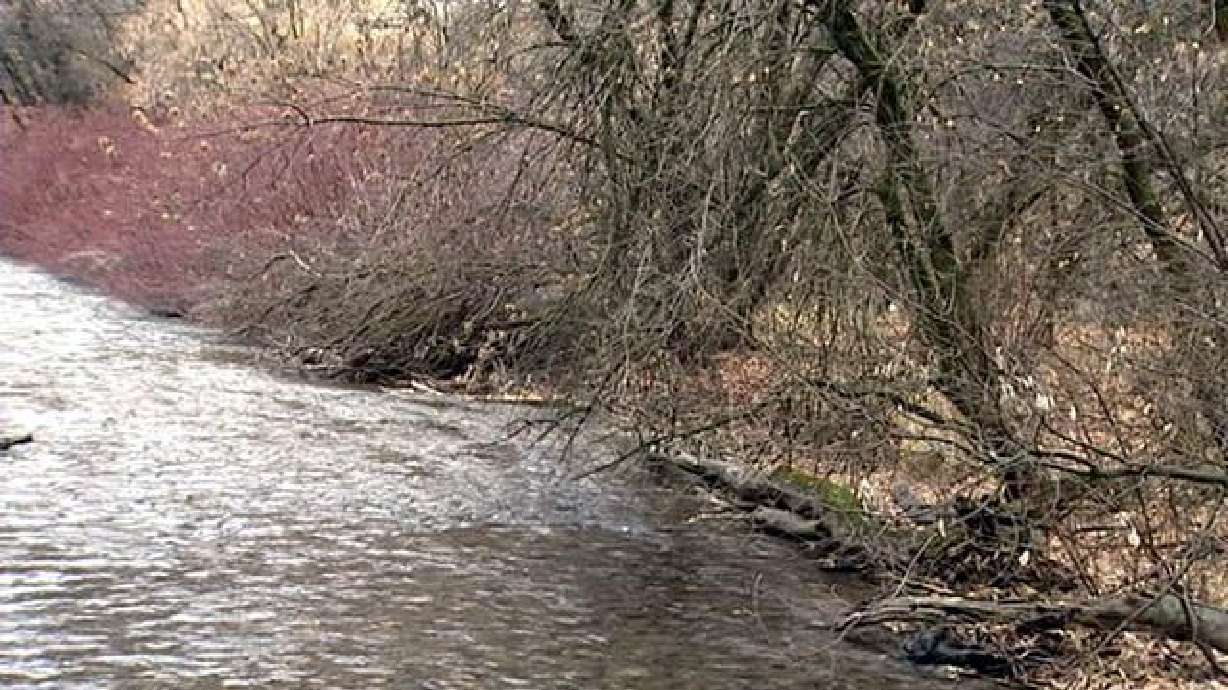 Flood warning issued for areas near Logan River