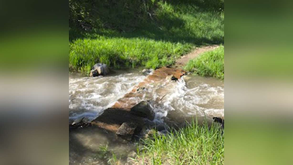 Hike of the Week: Birch Canyon Road Trail