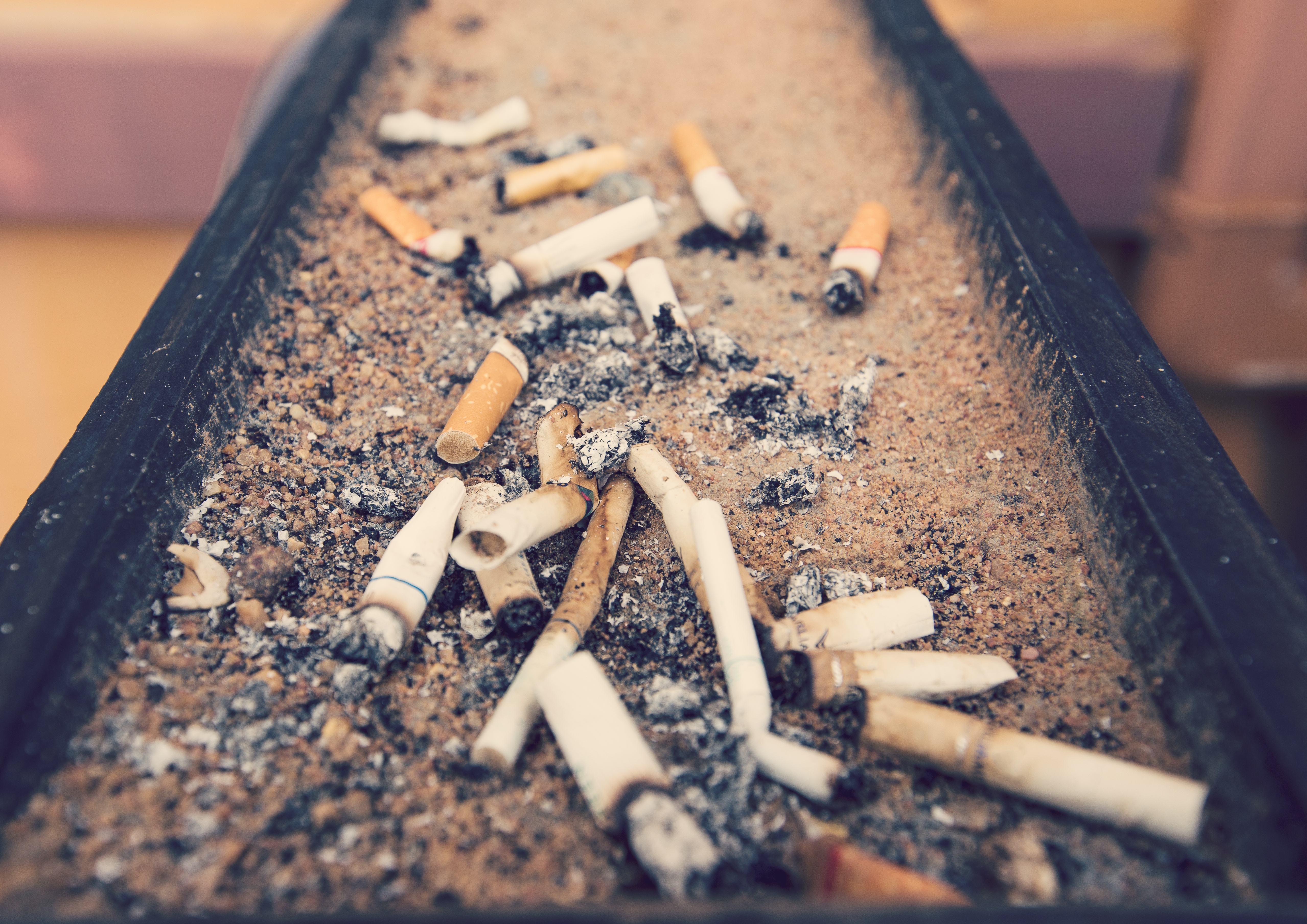 Study reveals high environmental cost of tobacco