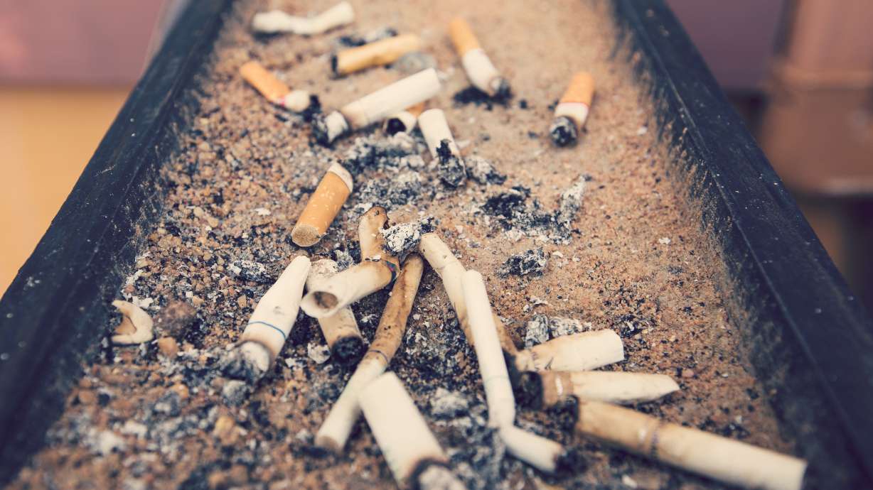 Study reveals high environmental cost of tobacco