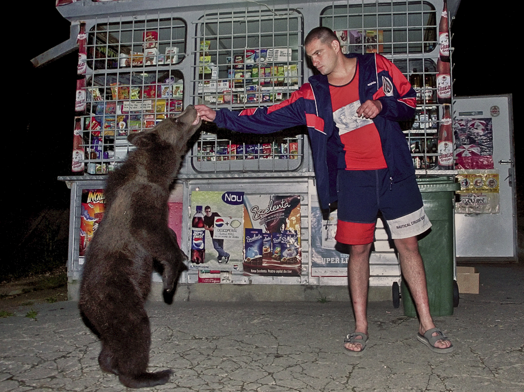 Romania: protective mama bear, cubs cut off Dracula's castle