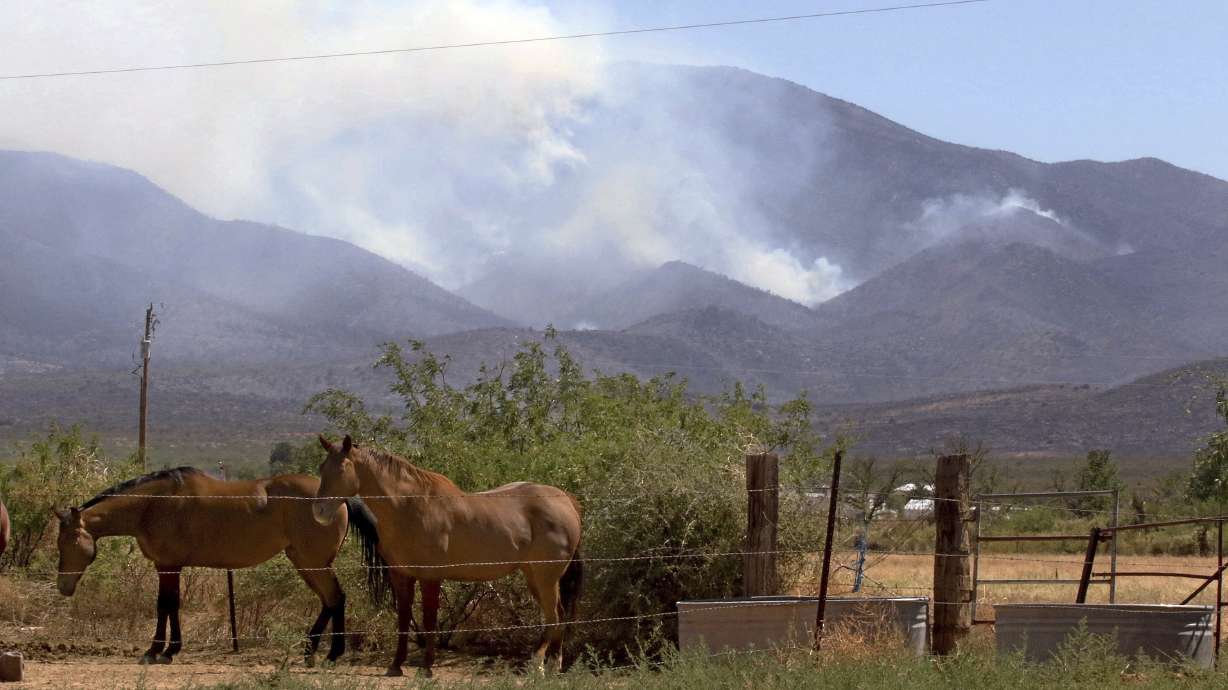 Flames rip through Arizona, topping US in wildfires