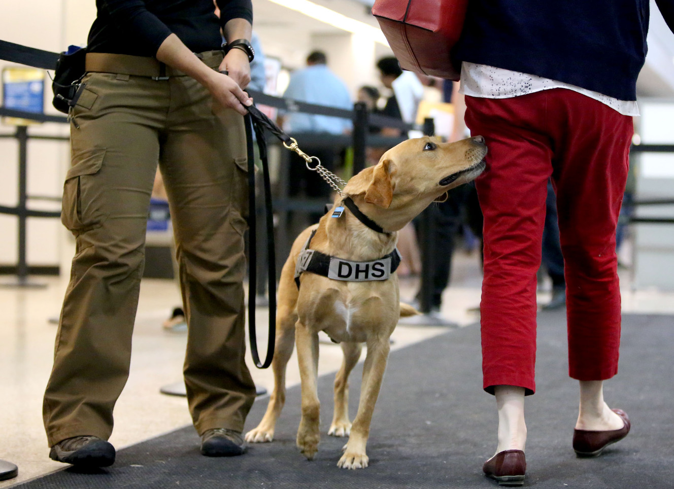 Peak summer travel means increased airport security