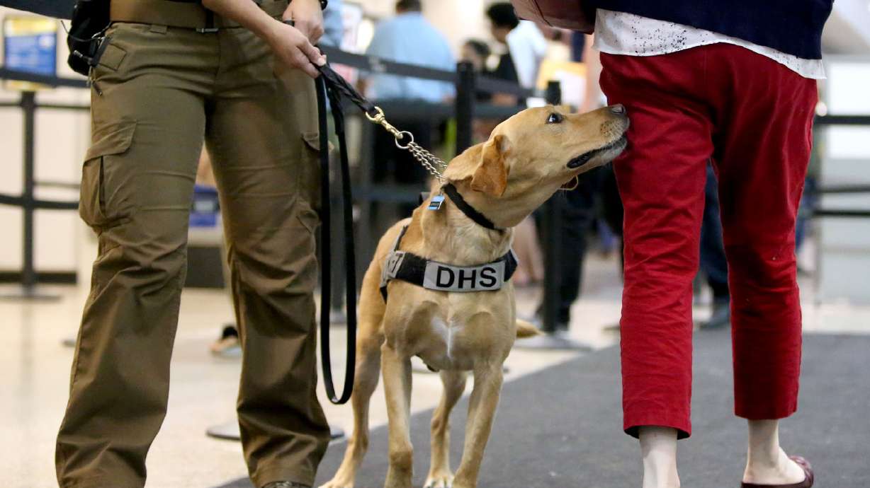 Peak summer travel means increased airport security