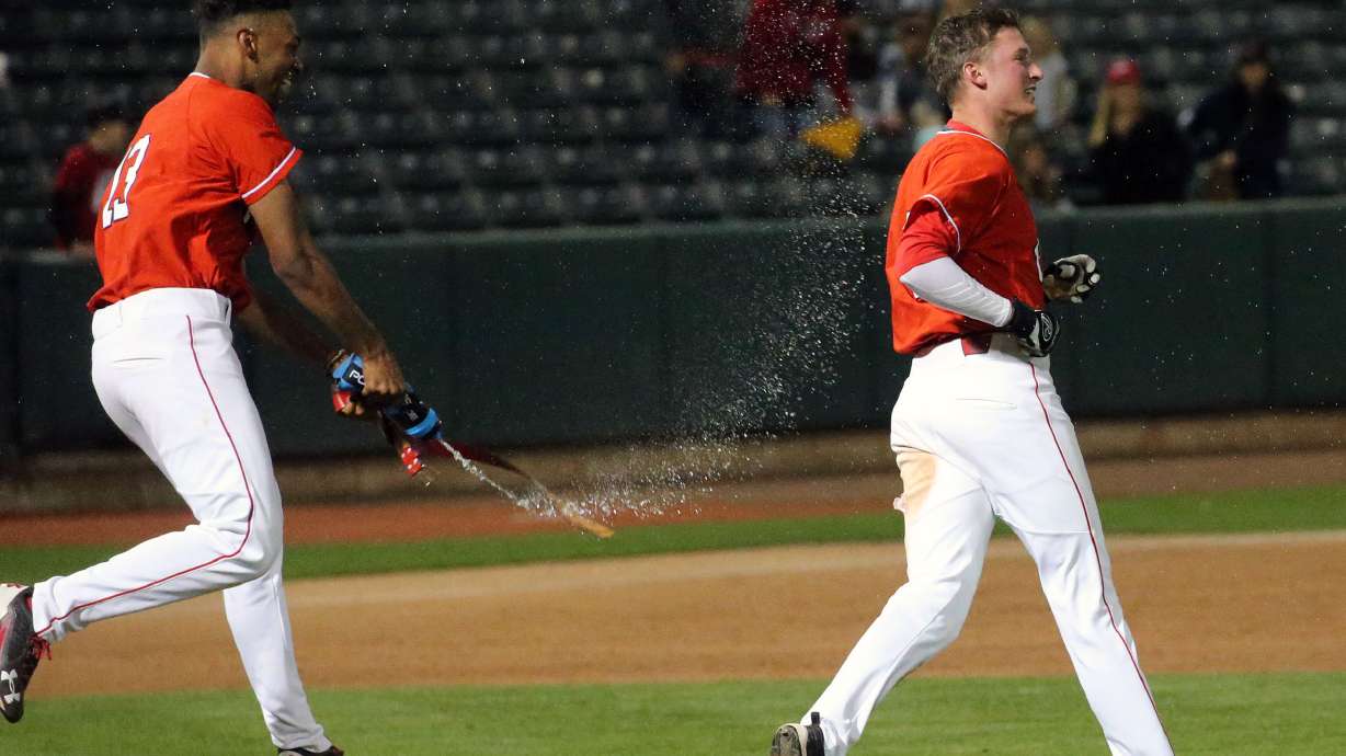 Local baseball players fill out final day of 2017 MLB draft