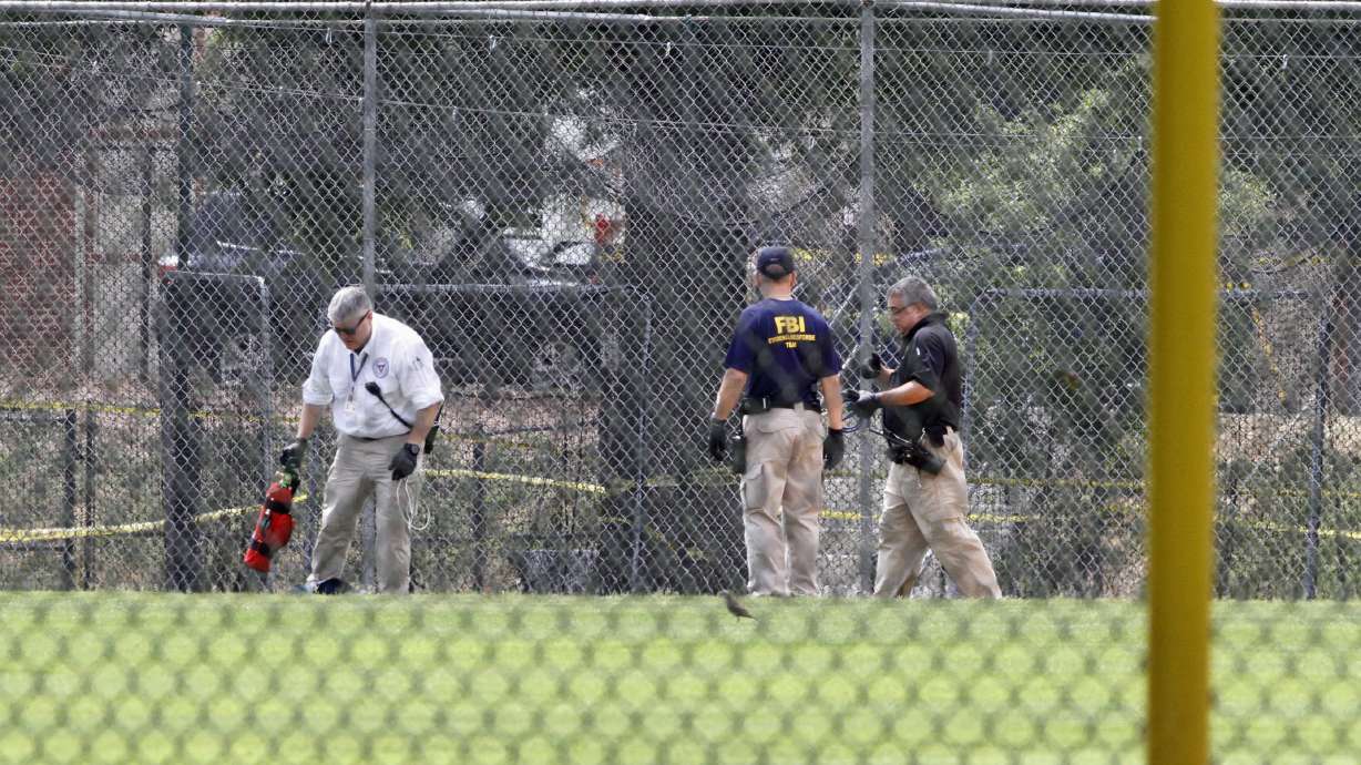 A ballgame of unity, spirit, friendly rivalry, won by Dems