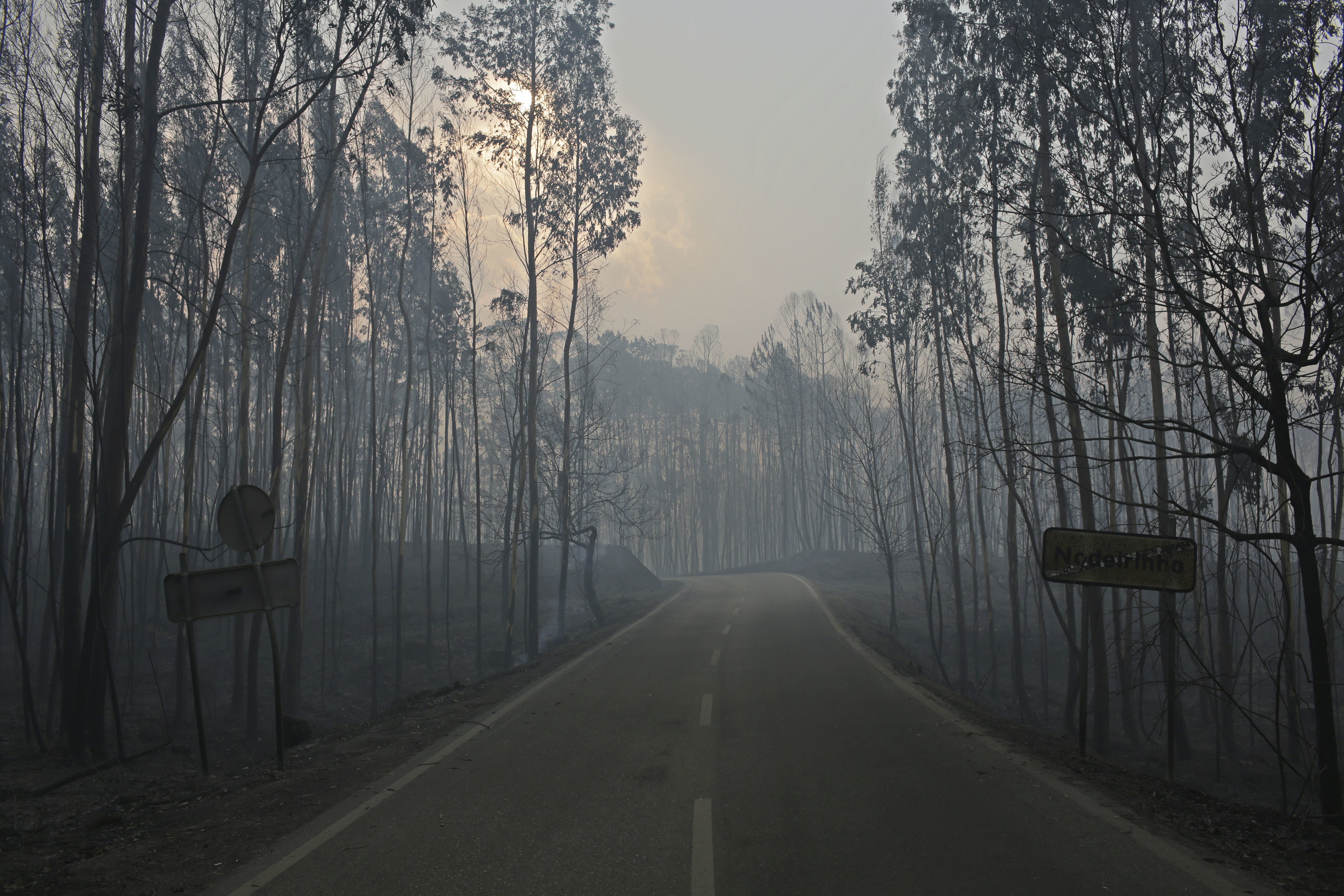 Portugal, a country helplessly prone to forest fires
