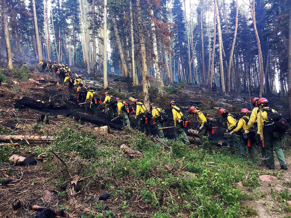 Firefighters work at Brian Head on Monday, June 19, 2017. (Photo: Handout)