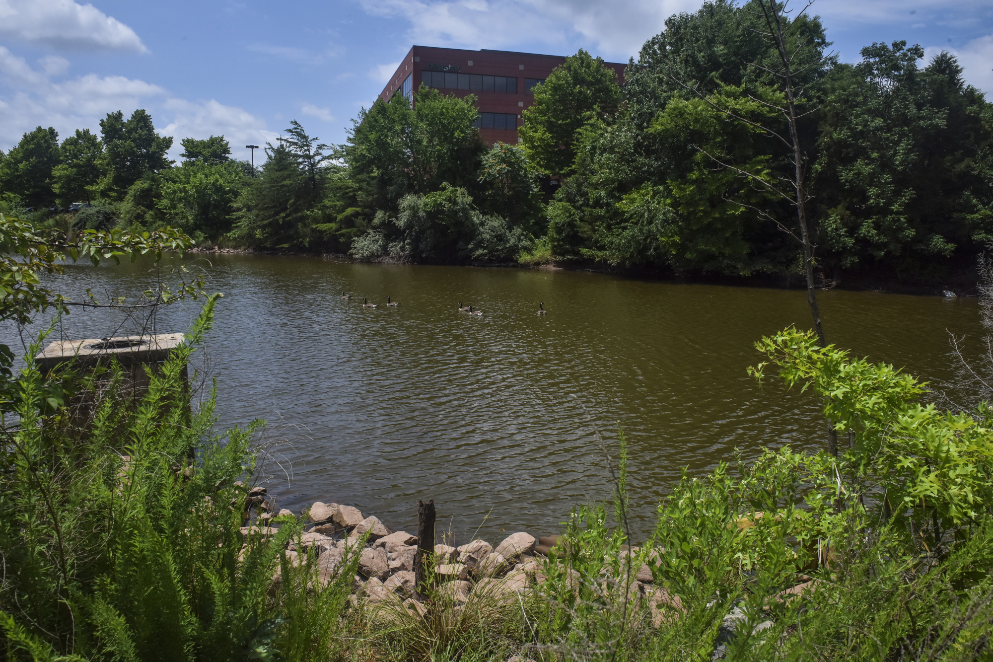 Chief: Police testing for sex assault of slain Virginia teen