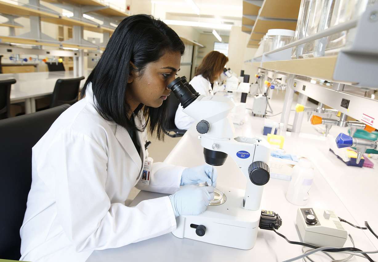Sharanya Kalasekar works at the Primary Children’s and Families’ Cancer Research Center at Huntsman Cancer Institute in Salt Lake City on Wednesday, June 21, 2017. The new facility is dedicated to the study of genetically traced cancers known to afflict children. (Photo: Jeffrey D. Allred, Deseret News)