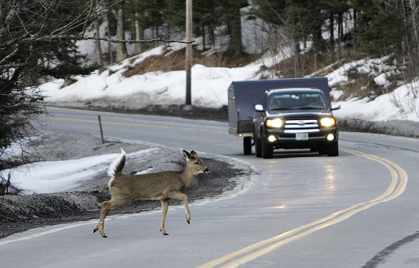 Oregon joins states where roadkill can be harvested for food