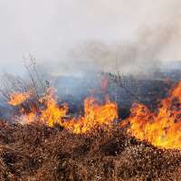 Human-caused fires below average for July; officials thankful to public