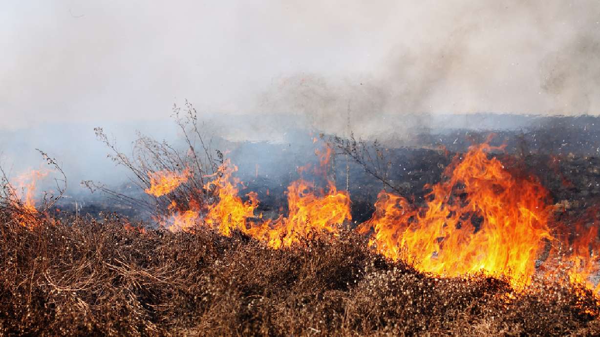 A brush fire is pictured in this undated photo. The number of human-caused fires across Utah is below average for the month of July, according to the Utah Division of Forestry, Fire, and State Lands.