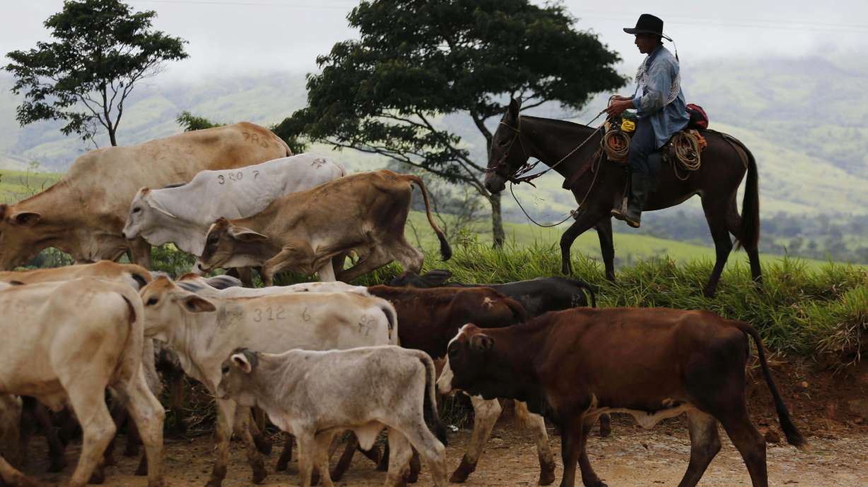 Colombia takes big step to peace as rebels lay down guns