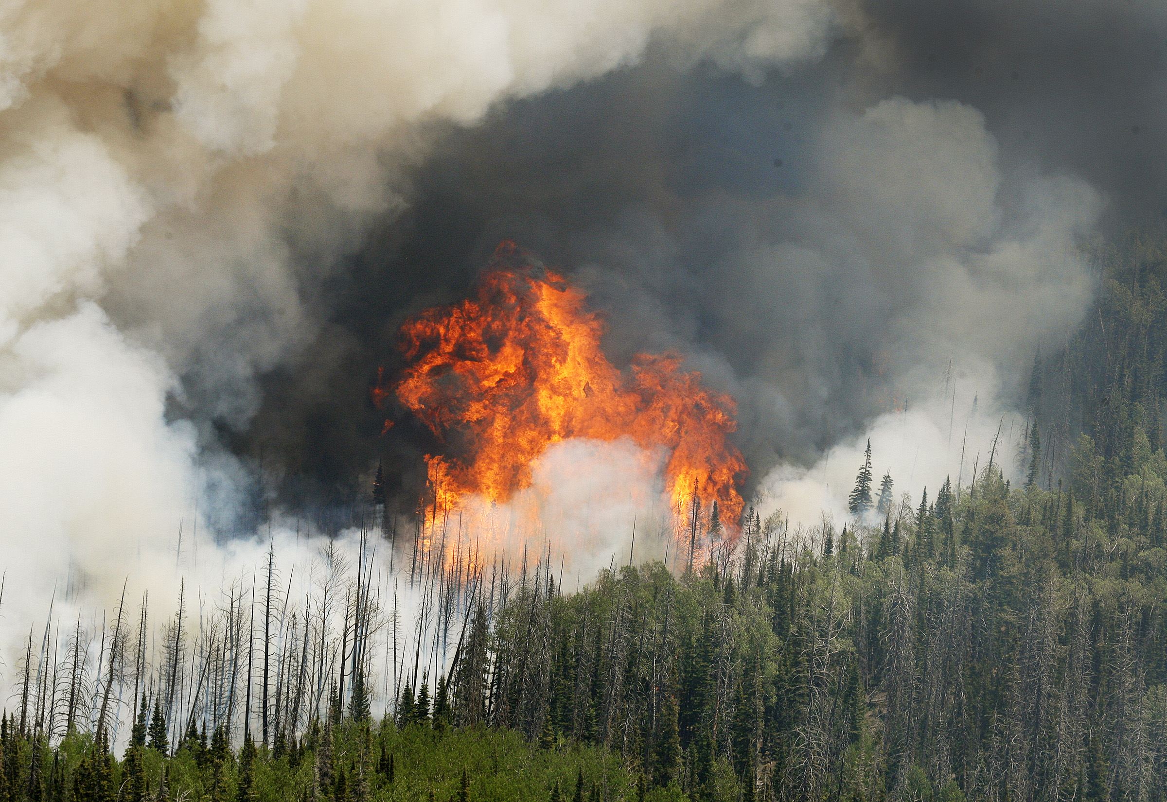 Brian Head Fire: Cabin owner accused of sparking blaze reaches plea agreement