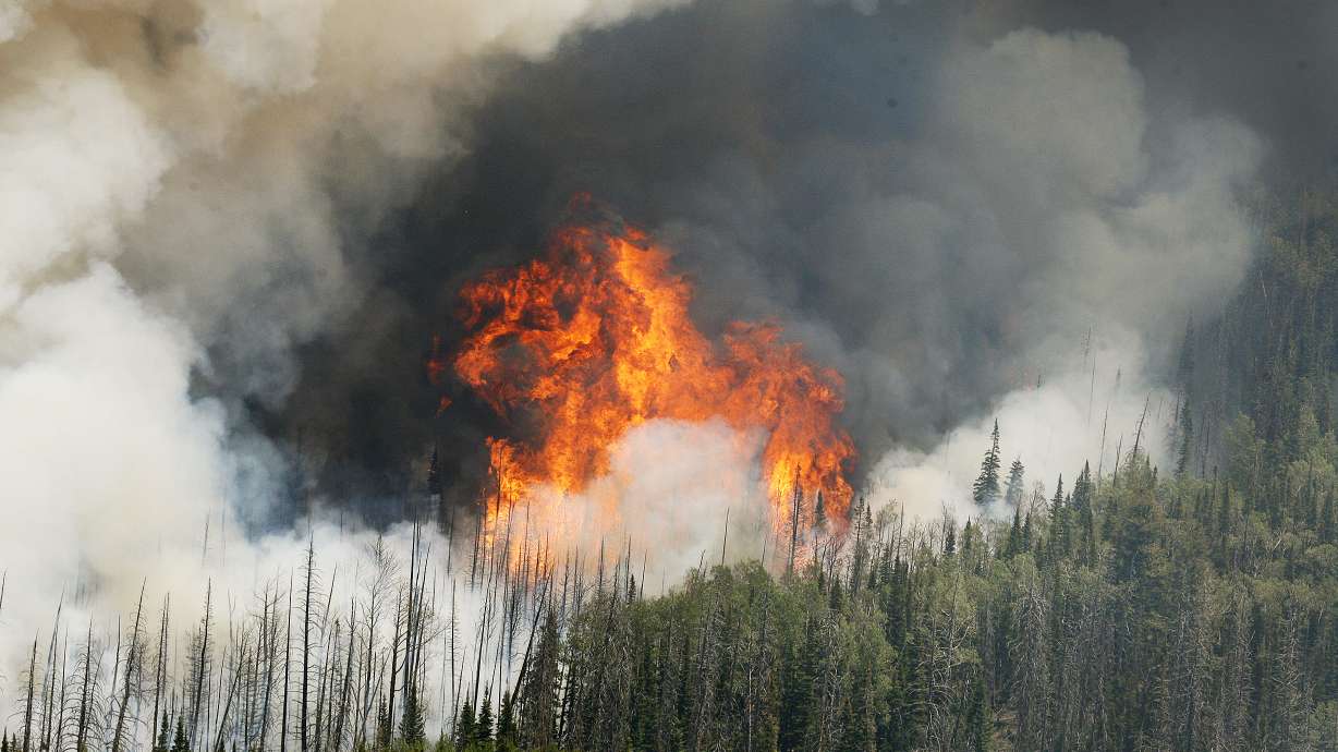 Brian Head Fire: Cabin owner accused of sparking blaze reaches plea agreement