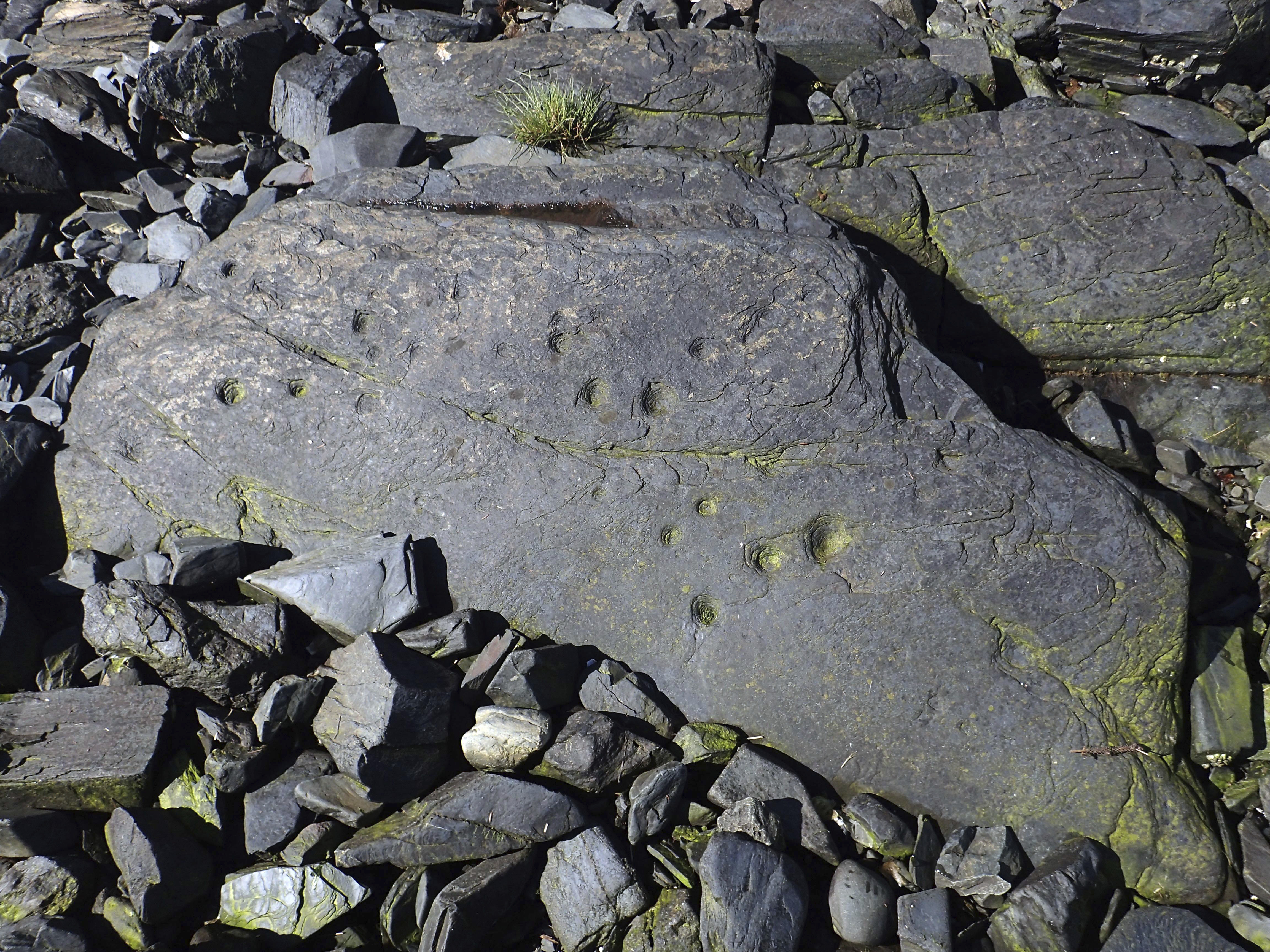 Prehistoric stone fish trap discovered on Alaska island