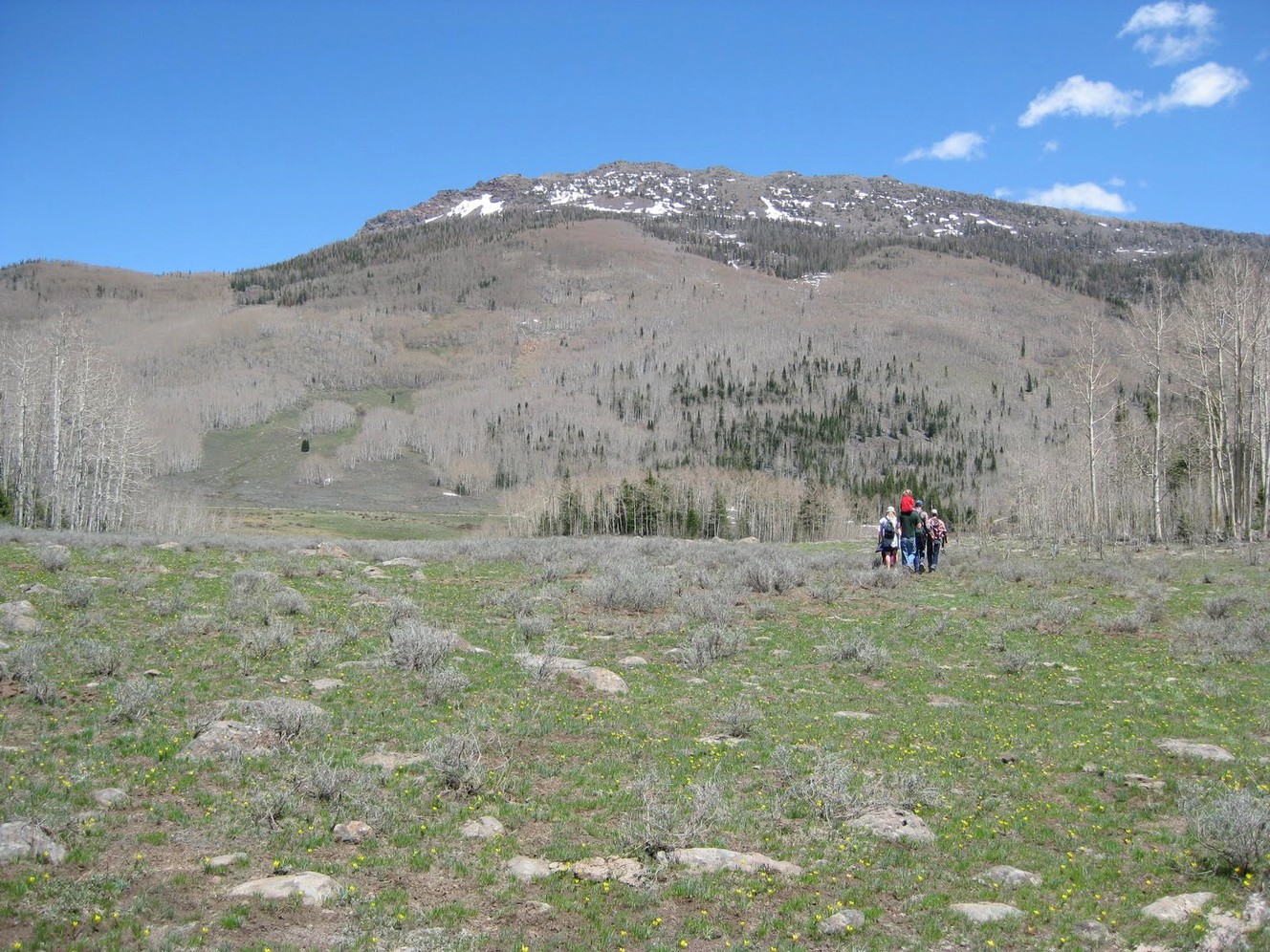 Review: Summer gear for families