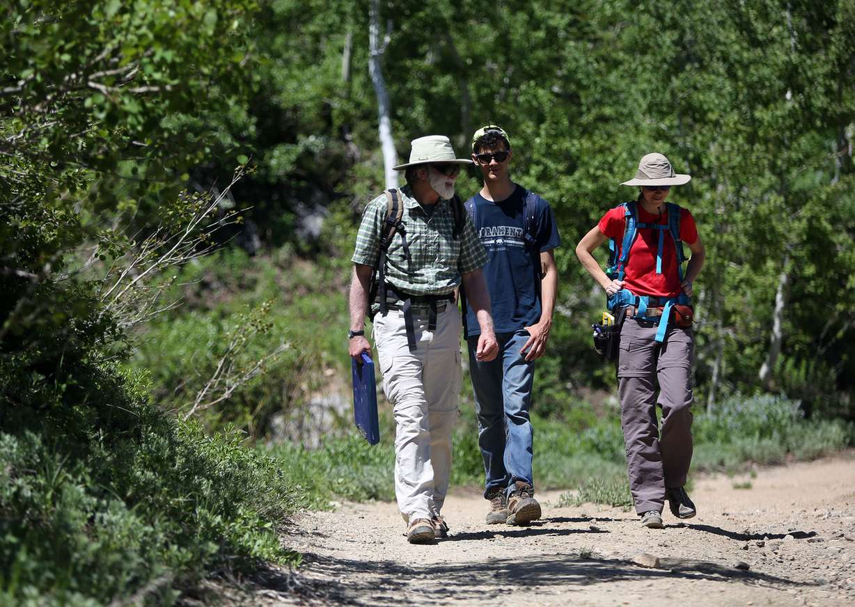 Geologists John Bowman, Diego Berrios and Dana Brenner hike in Grizzly Gulch in Little Cottonwood Canyon on Tuesday, June 27, 2017. (Photo: Kristin Murphy, Deseret News)