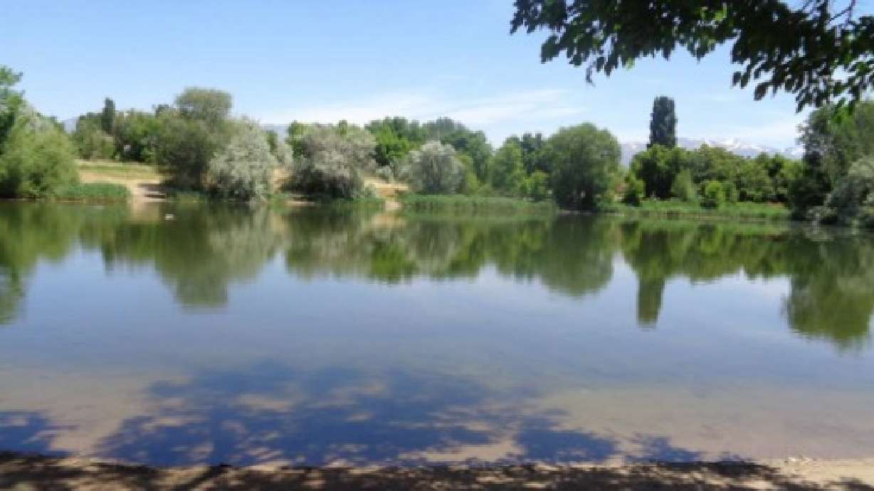 Steed Pond offers relaxing local fishing, casting practice for blue gill