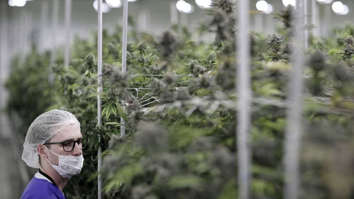 Tourists, locals buy Nevada's legal recreational marijuana