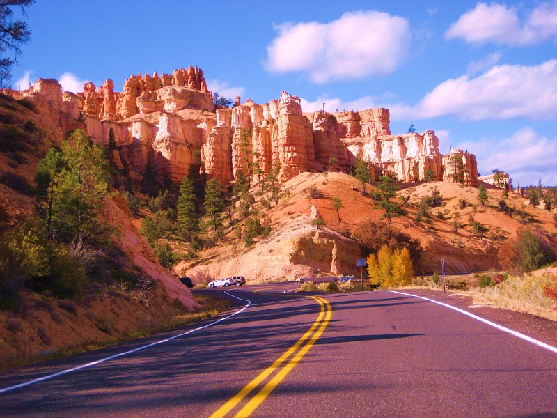 Courtesy of Harrison Eurosports