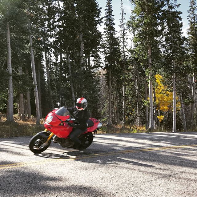 Courtesy of Harrison Eurosports