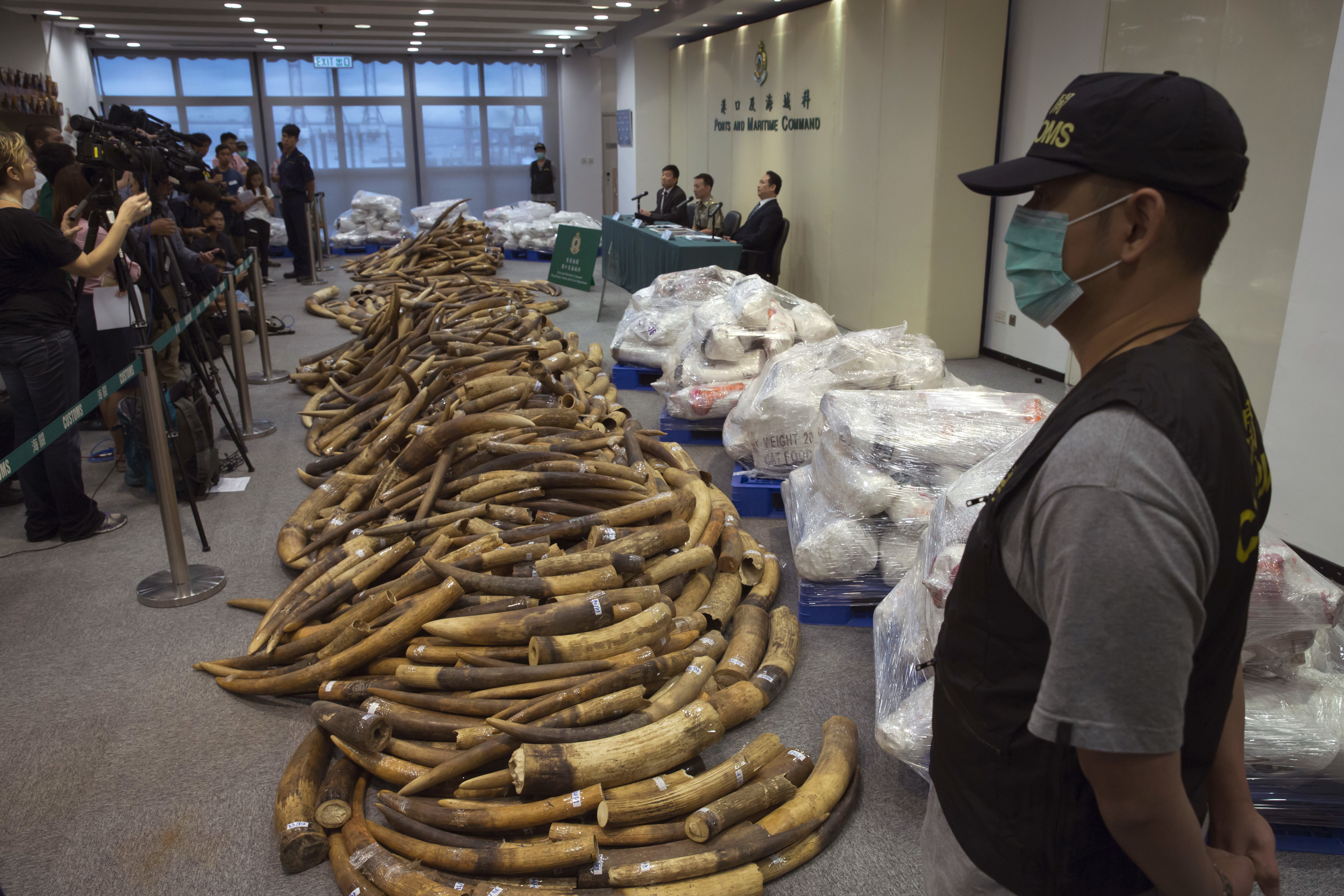 Hong Kong seizes $9M worth of ivory in Malaysia shipment