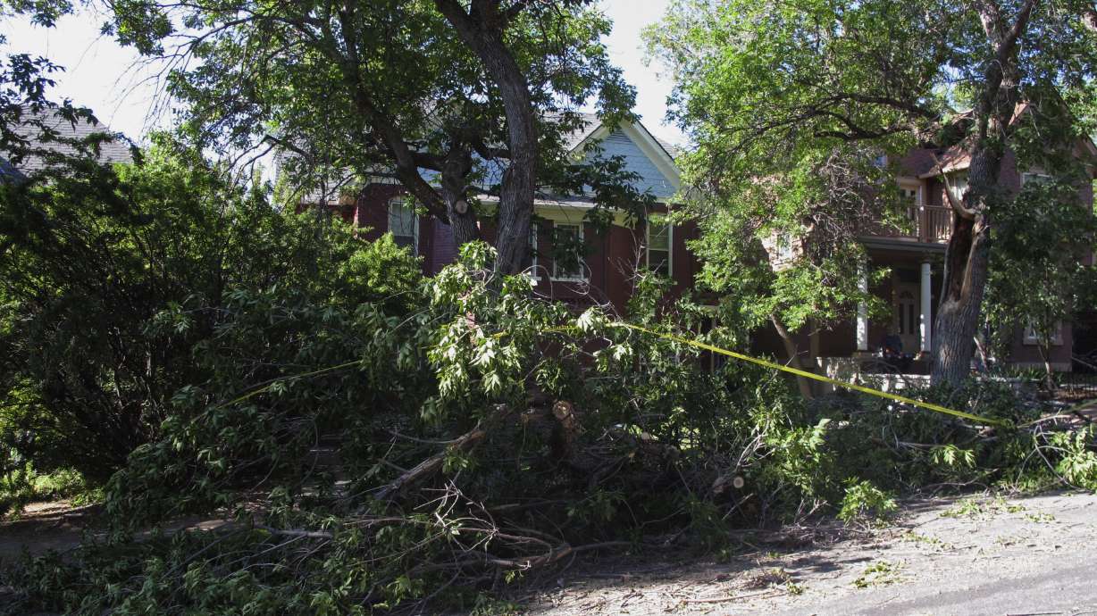 Montana earthquake smashes bottles, jolts residents awake