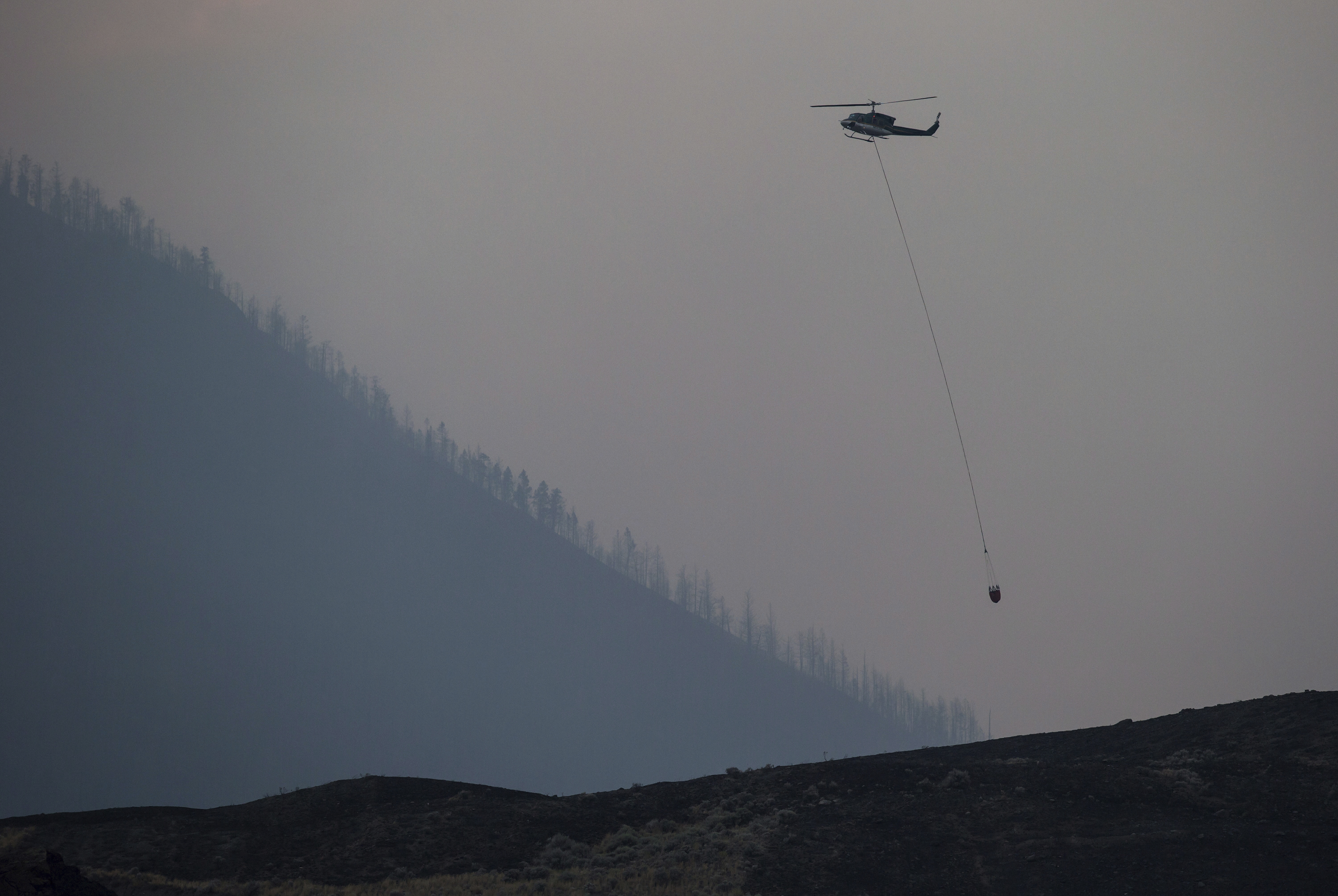 California fires are early, unpredictable after winter rain