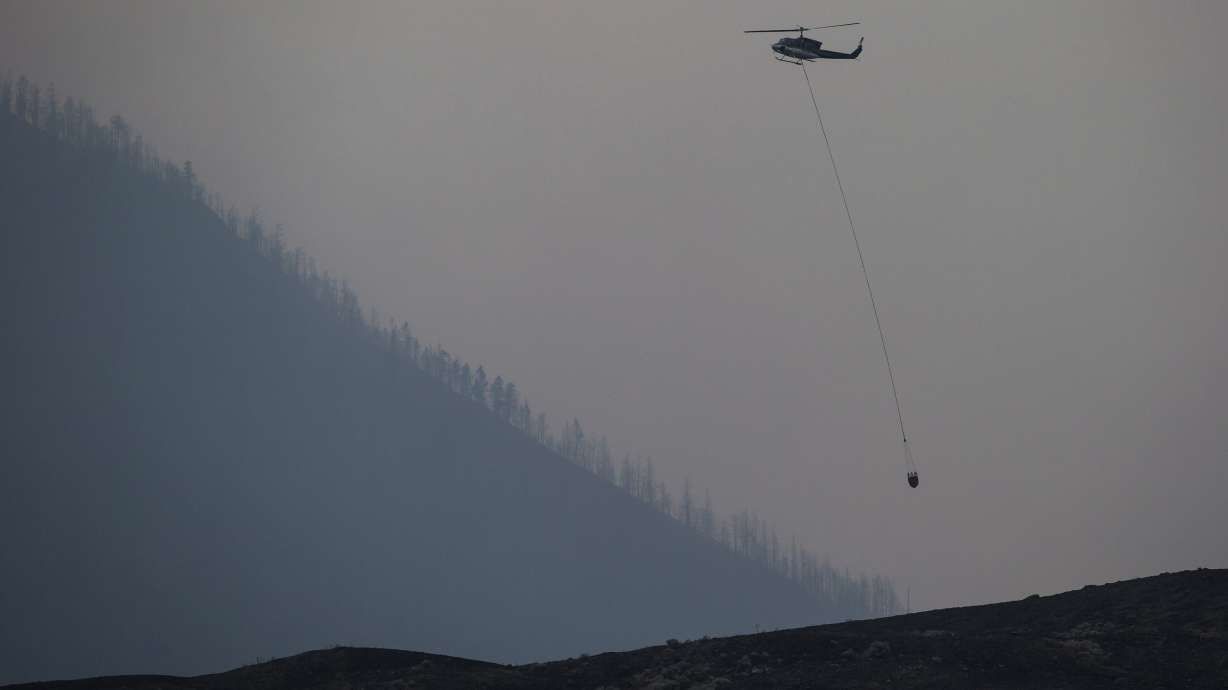 California fires are early, unpredictable after winter rain
