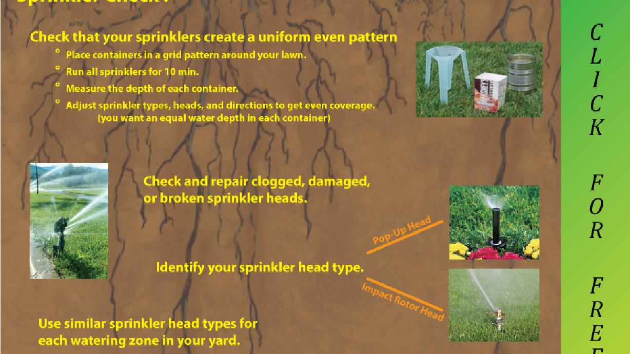 The Weekly Lawn Watering Guide