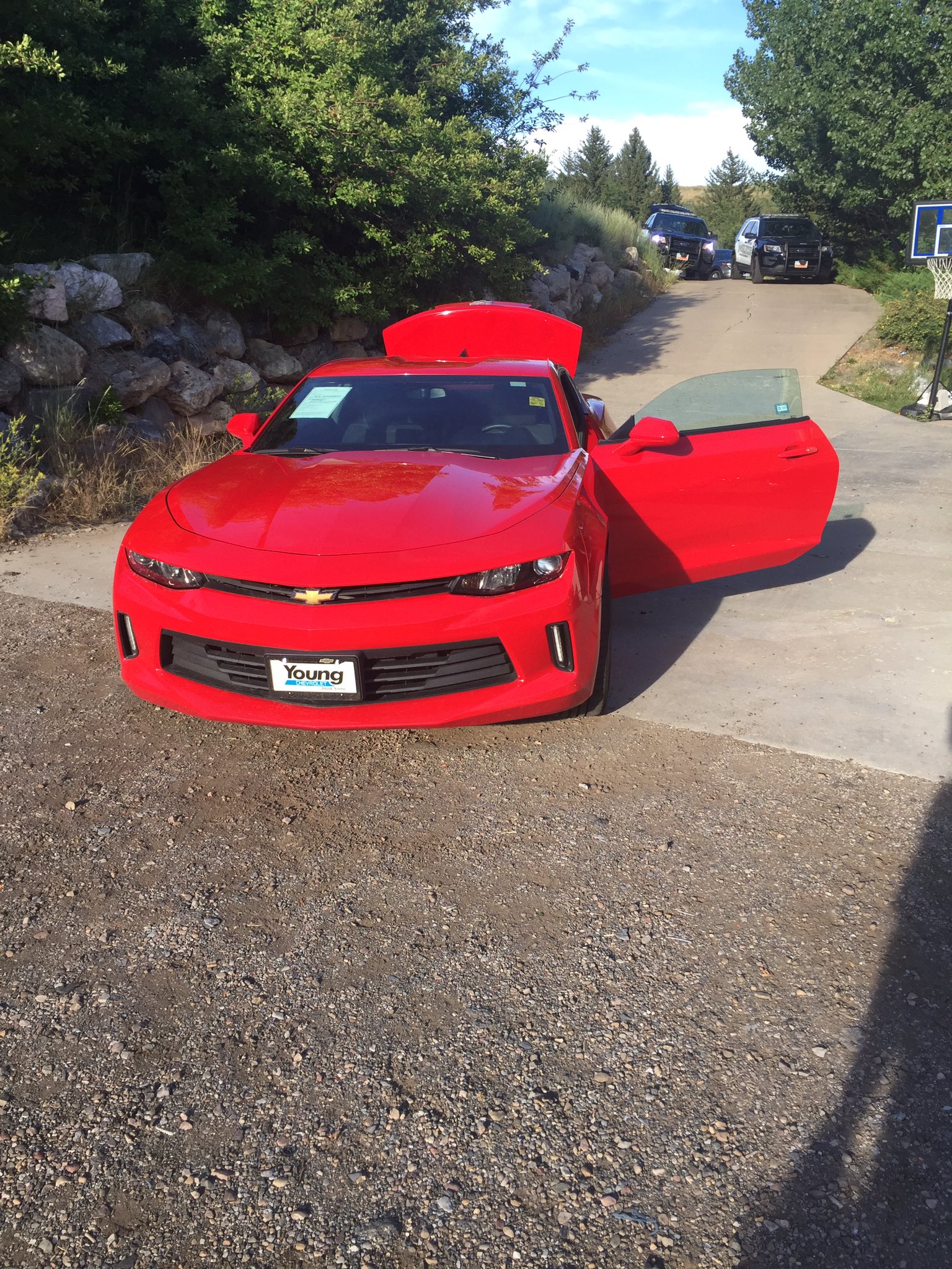 Woman taken into custody after stealing new car from dealership, police say