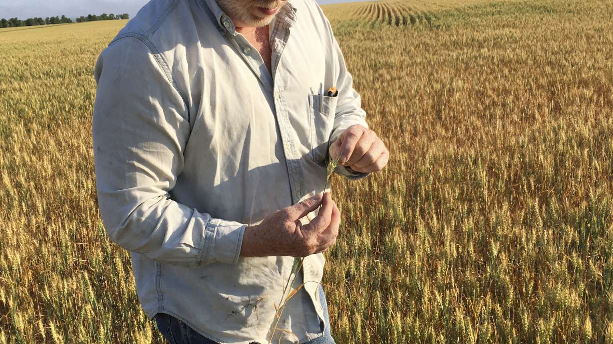 Drought in High Plains the worst some farmers have ever seen