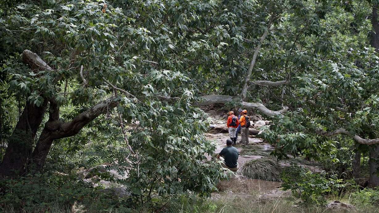 The Latest: More crews, dogs to join search for missing man