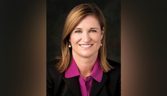 Democrat Jenny Wilson takes aim at Republican Mitt Romney's response on gun violence