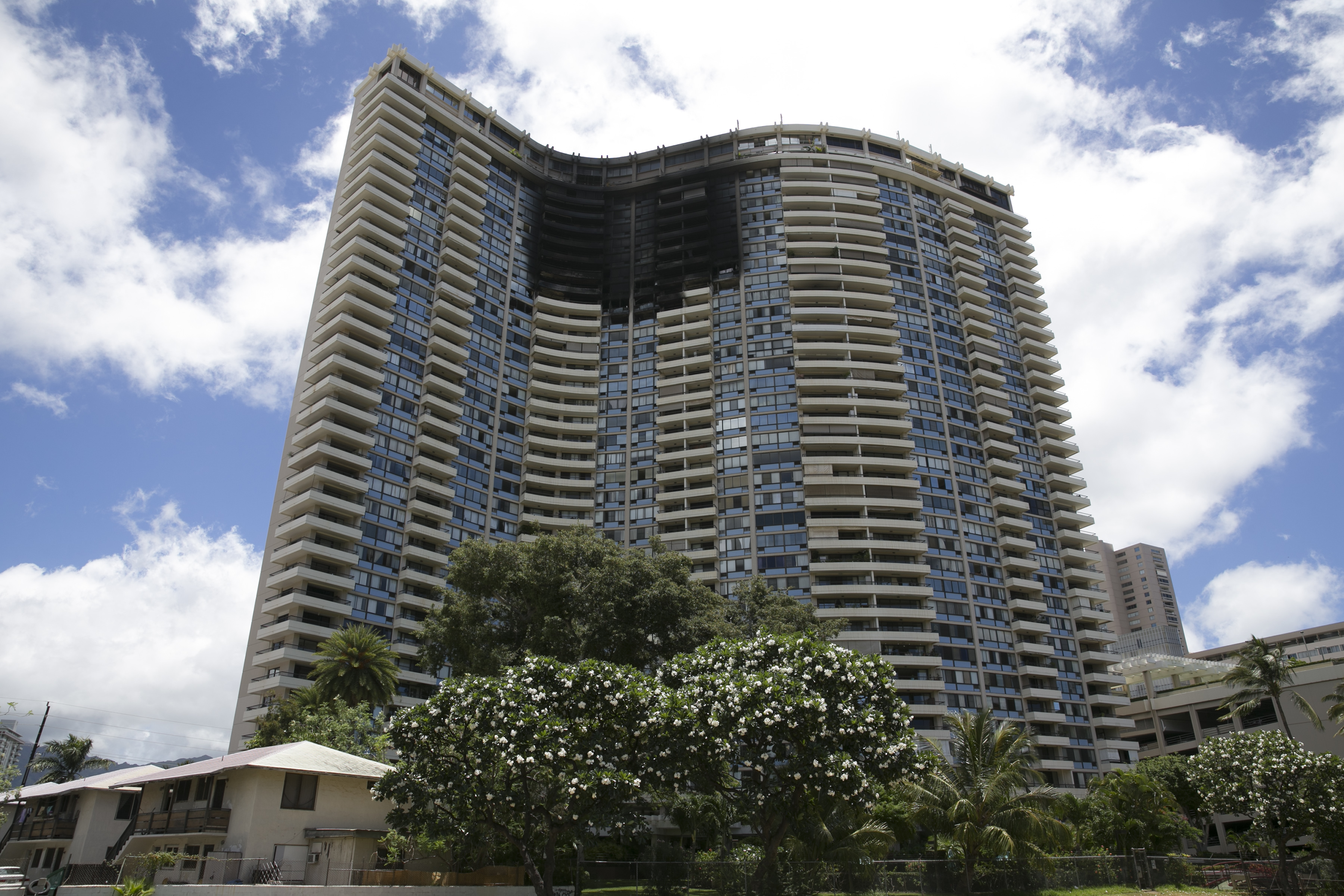 Arson dog searches Honolulu high-rise for ignitable liquids