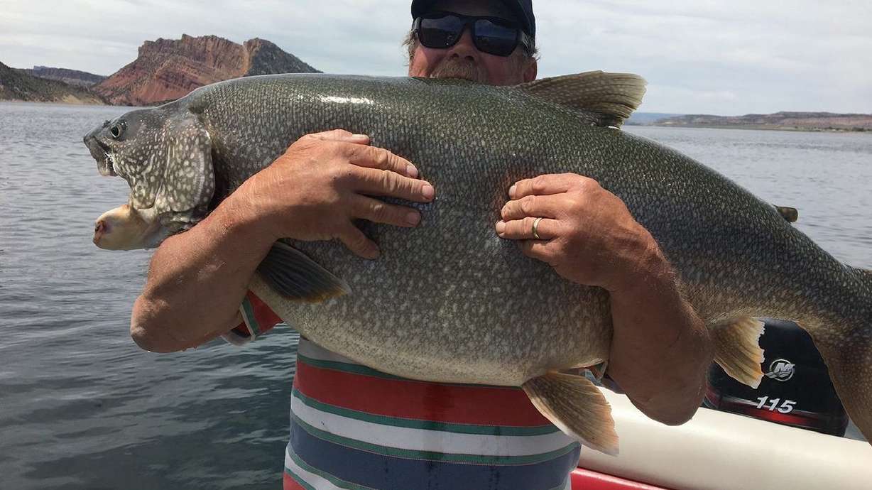Idaho resident catches record-breaking 57-pound trout in Utah