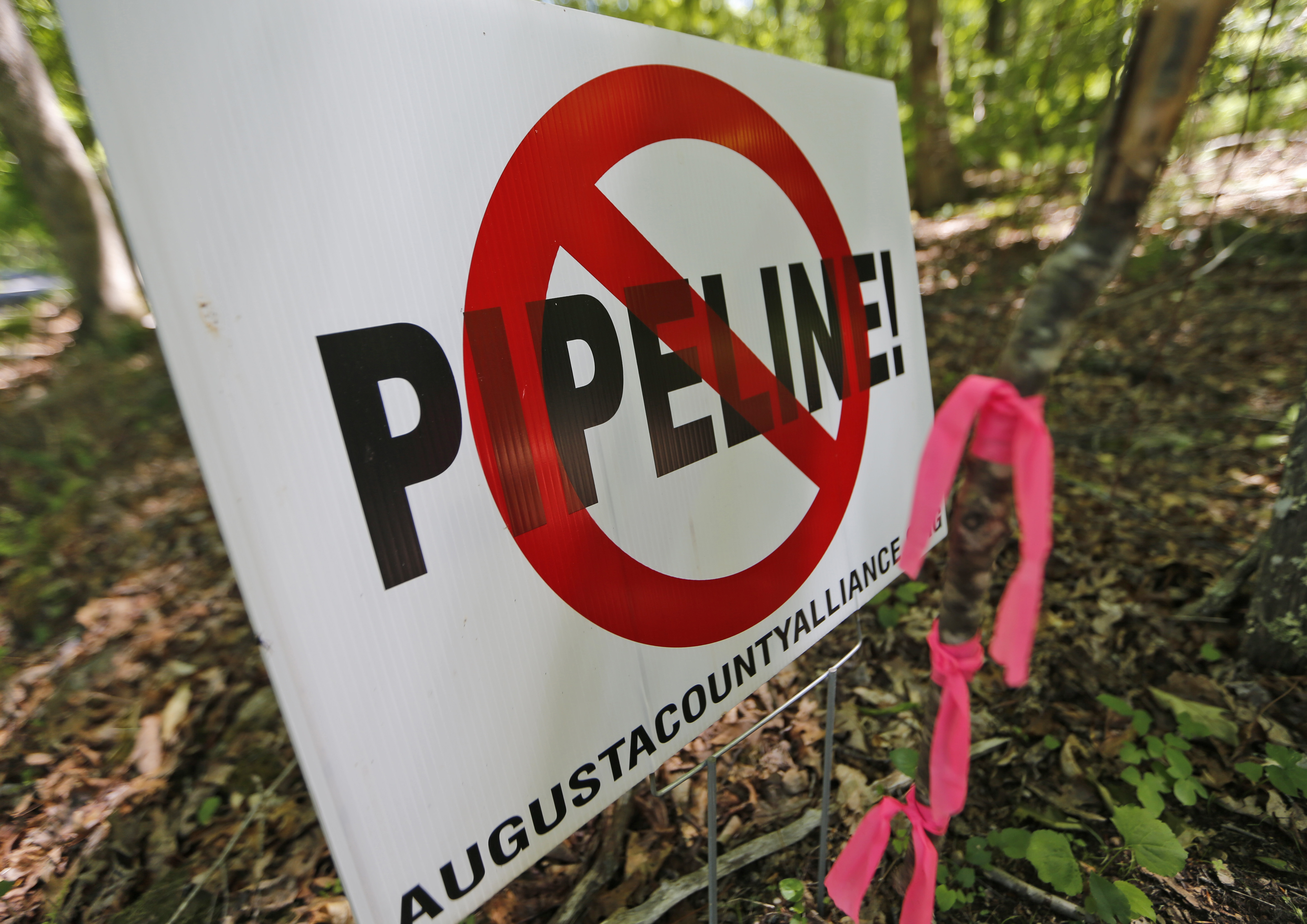 Environmental report on pipeline favorable for developers